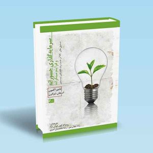 9789642522996 سرمایه_-گذاری-جسورانه-و-فرآیند-مبتکرانه-روح-اله-کهن-هوش-نژاد.jpg